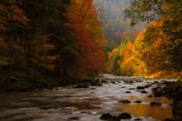 Gorges de l'Areuse