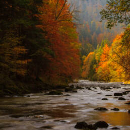 Gorges de l'Areuse