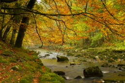 Gorges de l'Areuse